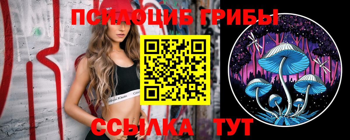 Галлюциногенные грибы Cubensis Ржев