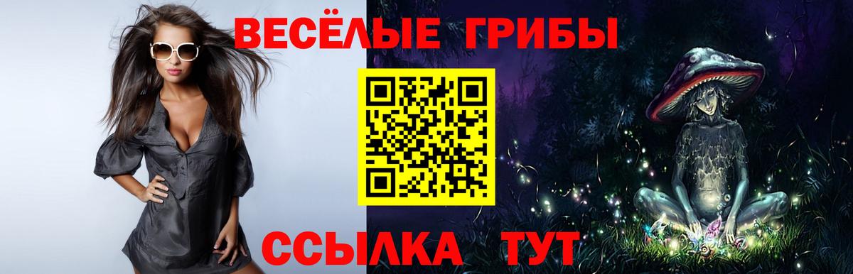 Псилоцибиновые грибы мицелий  Вход с VPN  Ржев 
